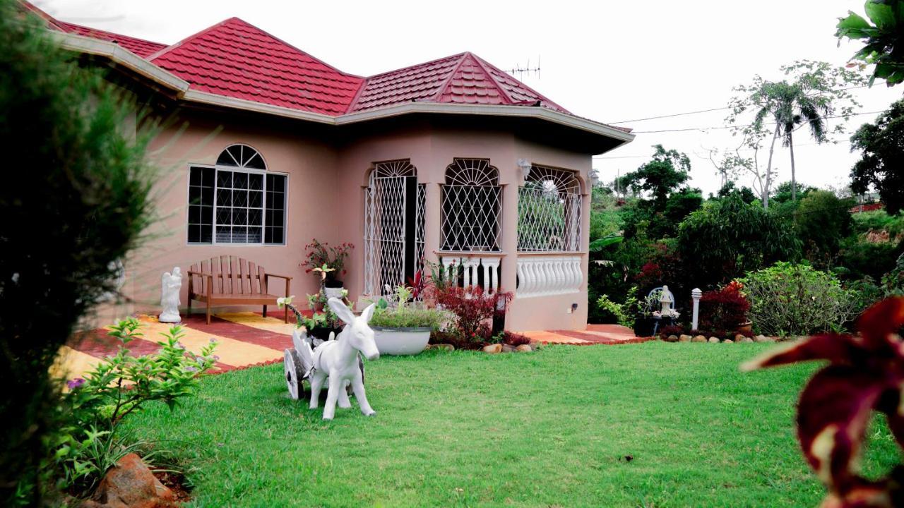 Cliffe Ranch Villa Mandeville Luaran gambar