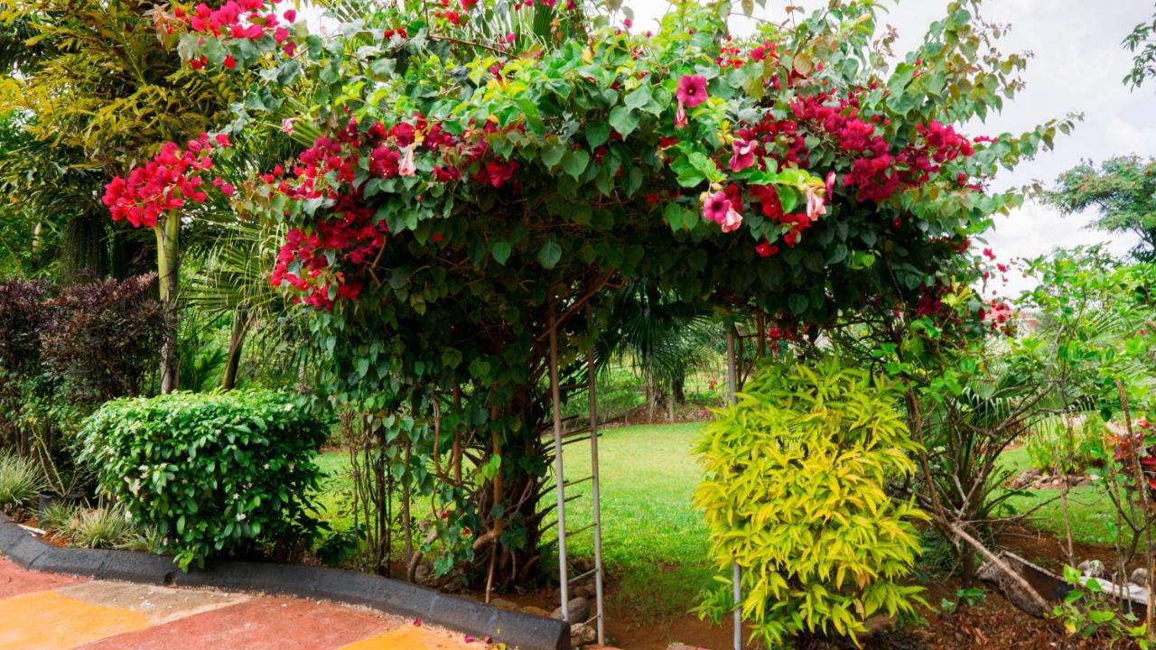 Cliffe Ranch Villa Mandeville Luaran gambar